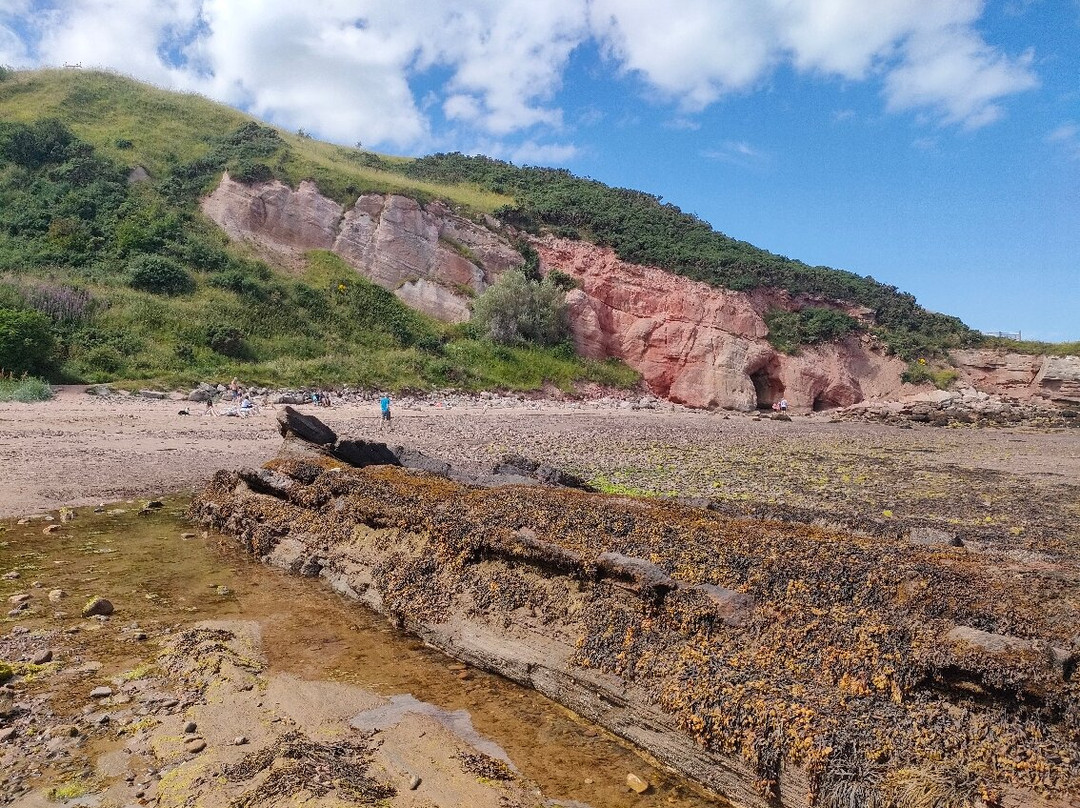 Cove Harbour-Cockburnspath必去景点