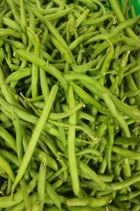 Gatewood Vegetable Farm & Greenhouses, Inc.-Noblesville必去景点