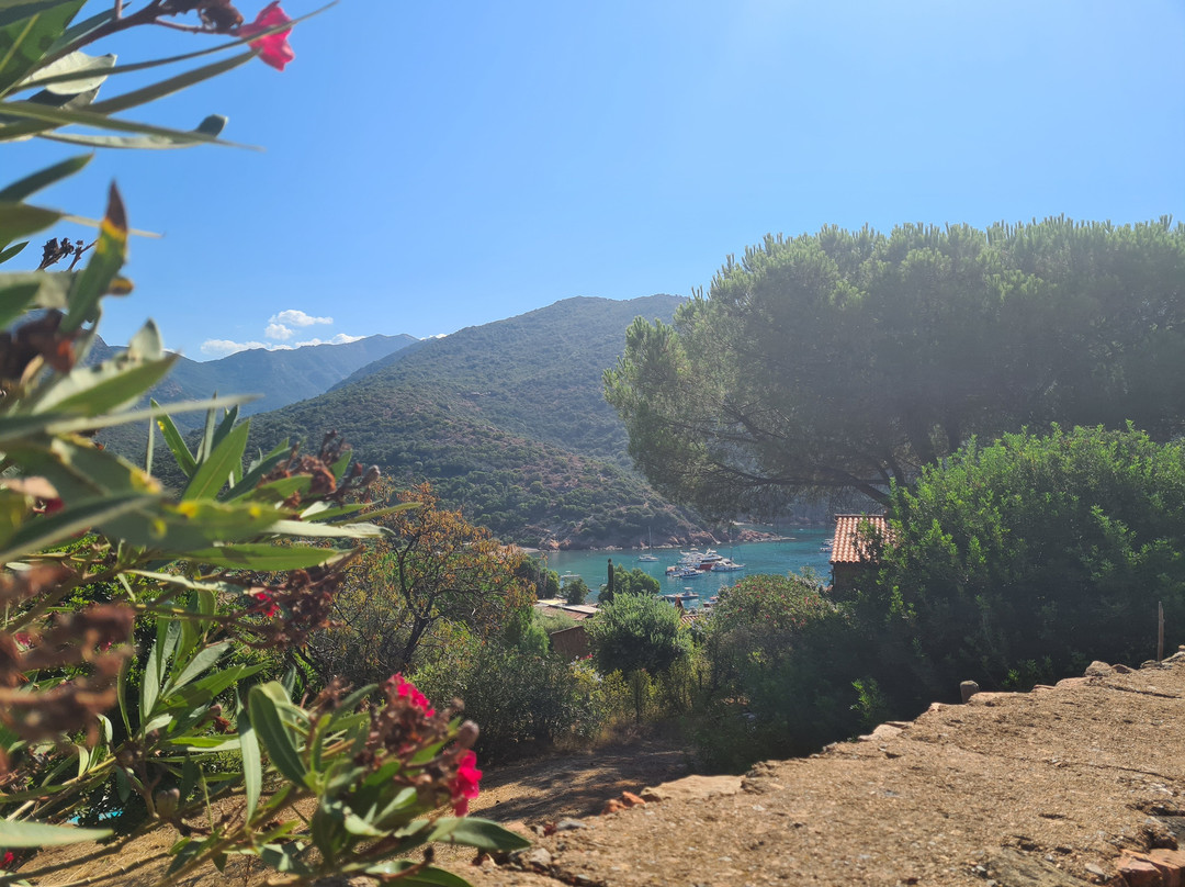 Corsica Marittima-Sagone必去景点