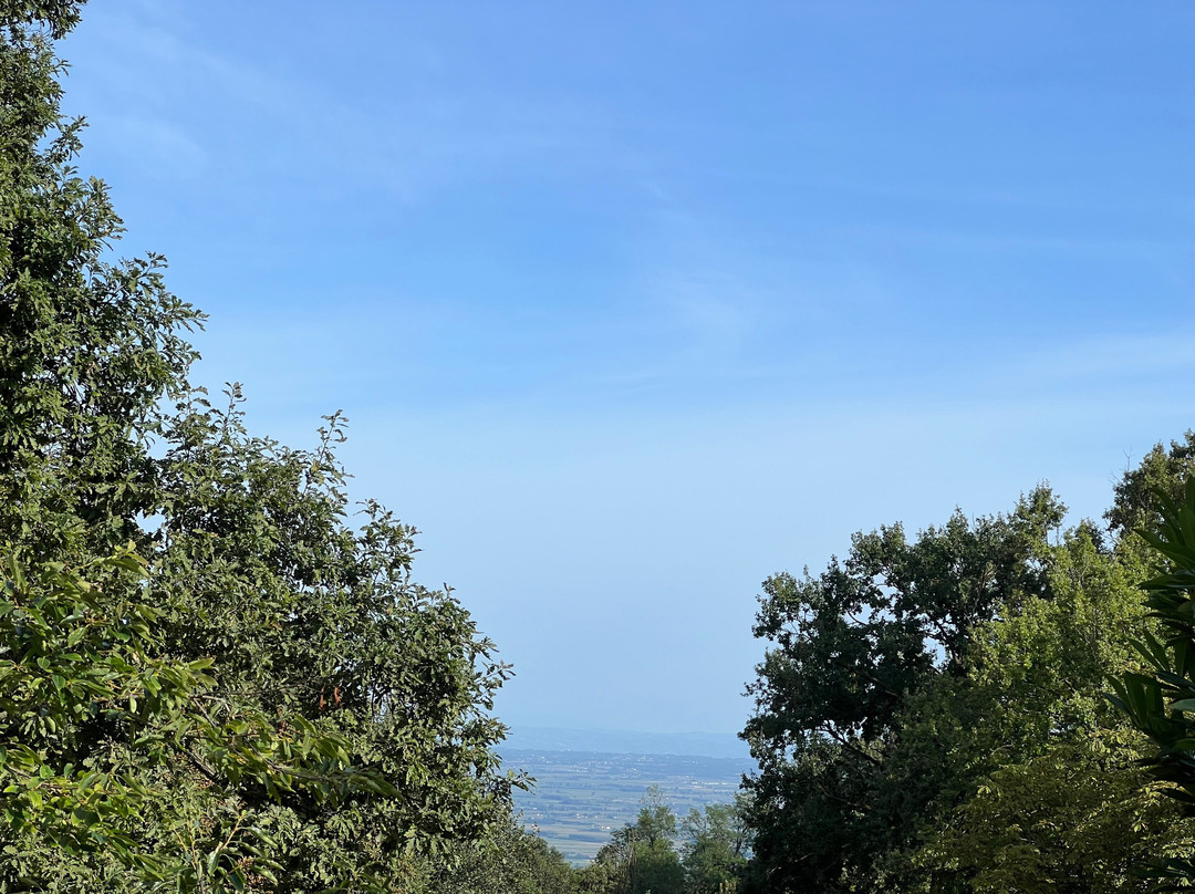Parco della Maddalena景点图片