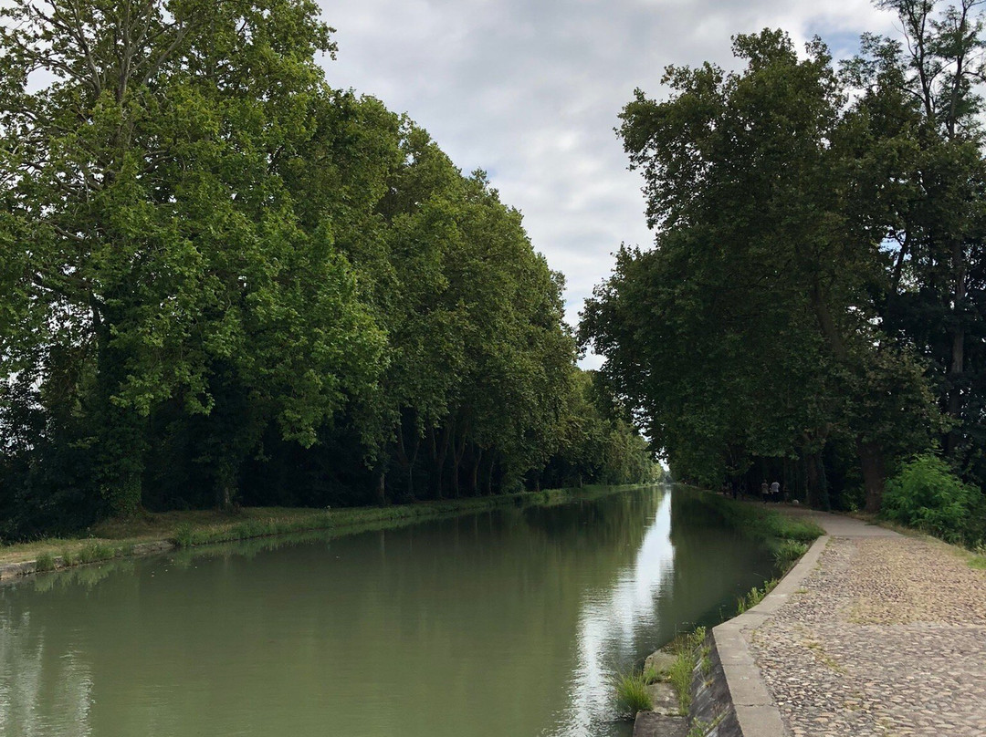 Pont Canal景点图片