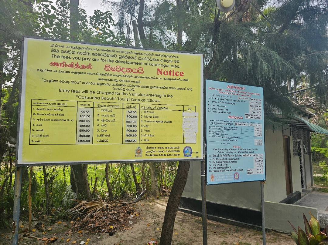 Casuarina Beach-贾夫纳必去景点