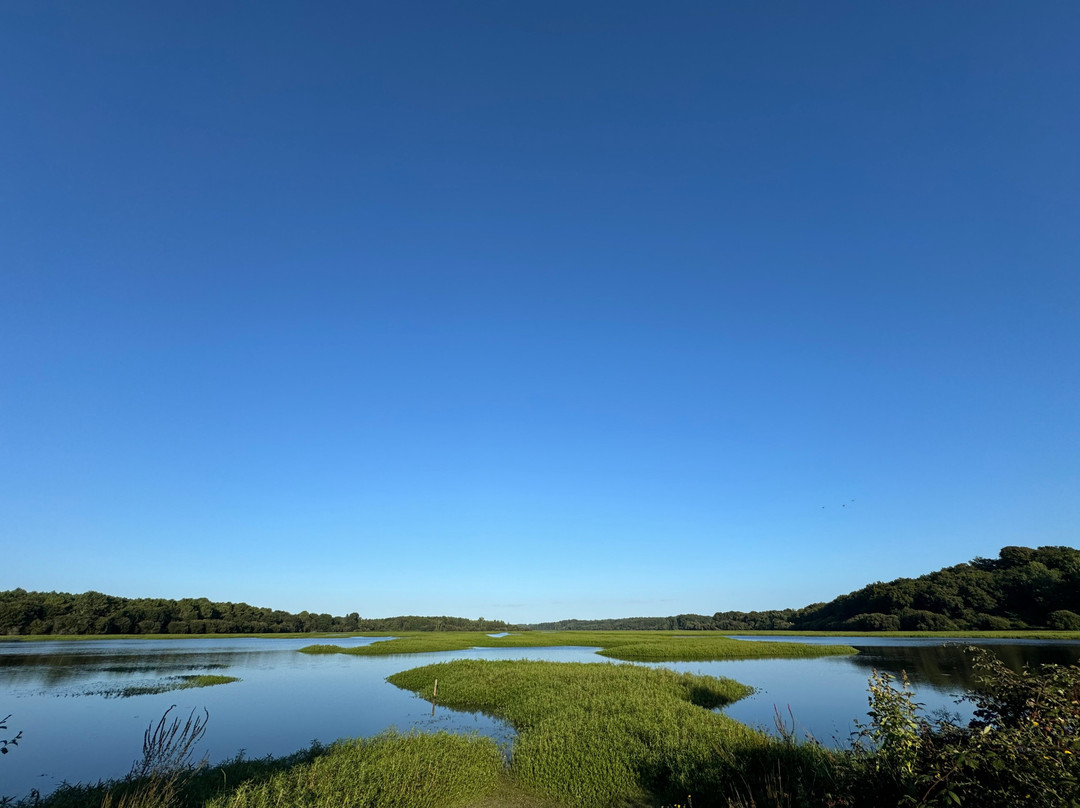 Réserve Naturelle Du Marais D'orx景点图片
