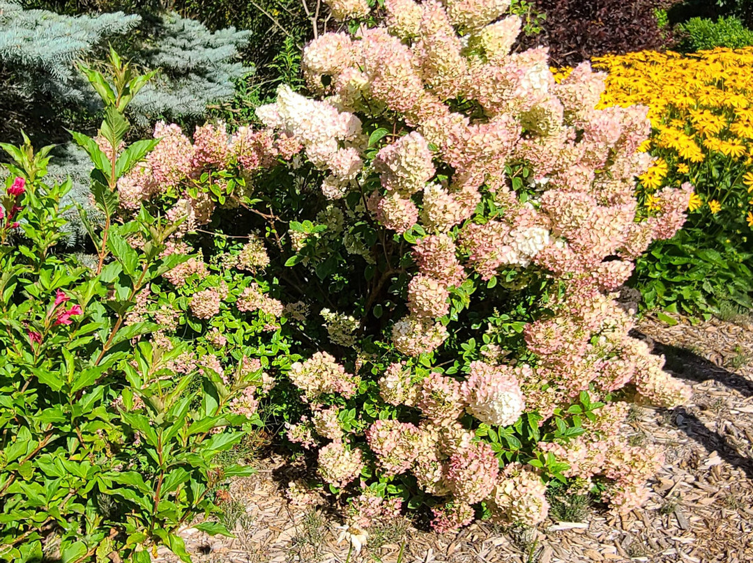 Lily Bay Pottery-斯特金贝必去景点