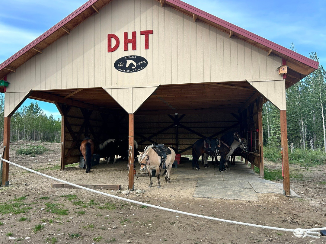 Denali Horseback Tours景点图片