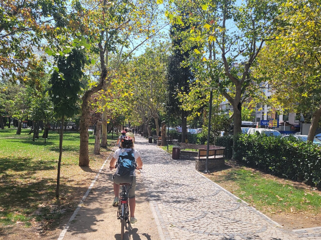 Istanbul On Bike - Tours-伊斯坦布尔必去景点