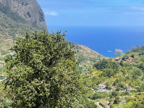 Island explorer Madeira by 4X4-马德拉群岛必去景点