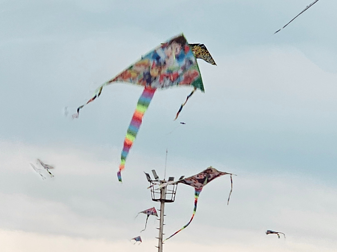 Gm International Travel-卡塔赫纳必去景点