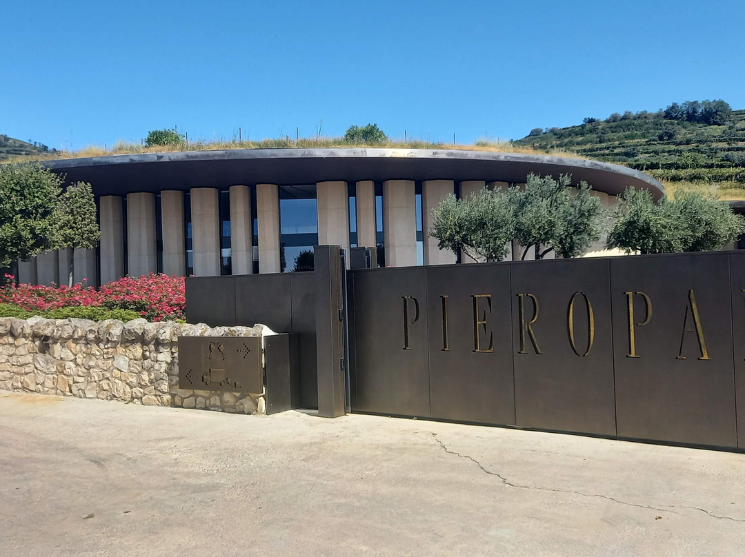 Cantina Leonildo Pieropan景点图片