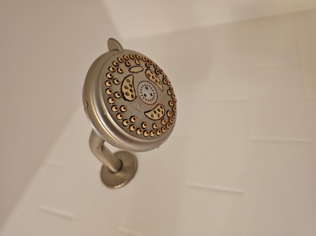 Homewood Suites by Hilton Worcester主图