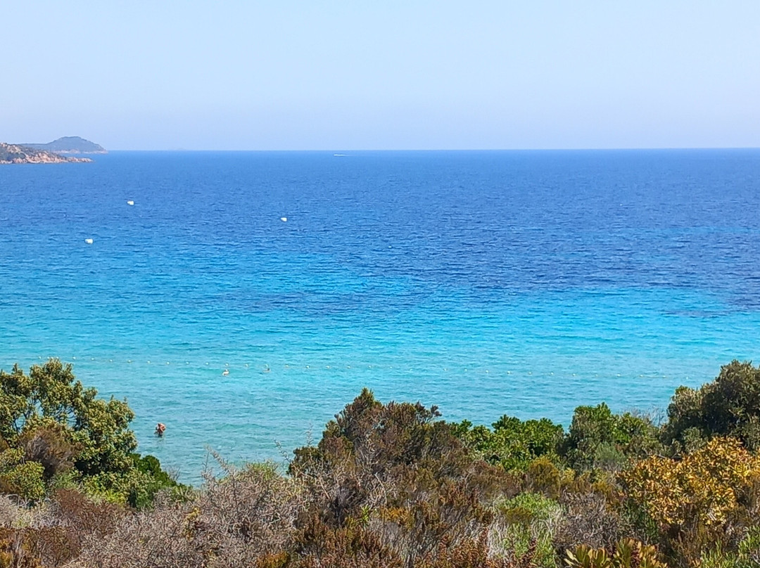 Plage de Balistra景点图片