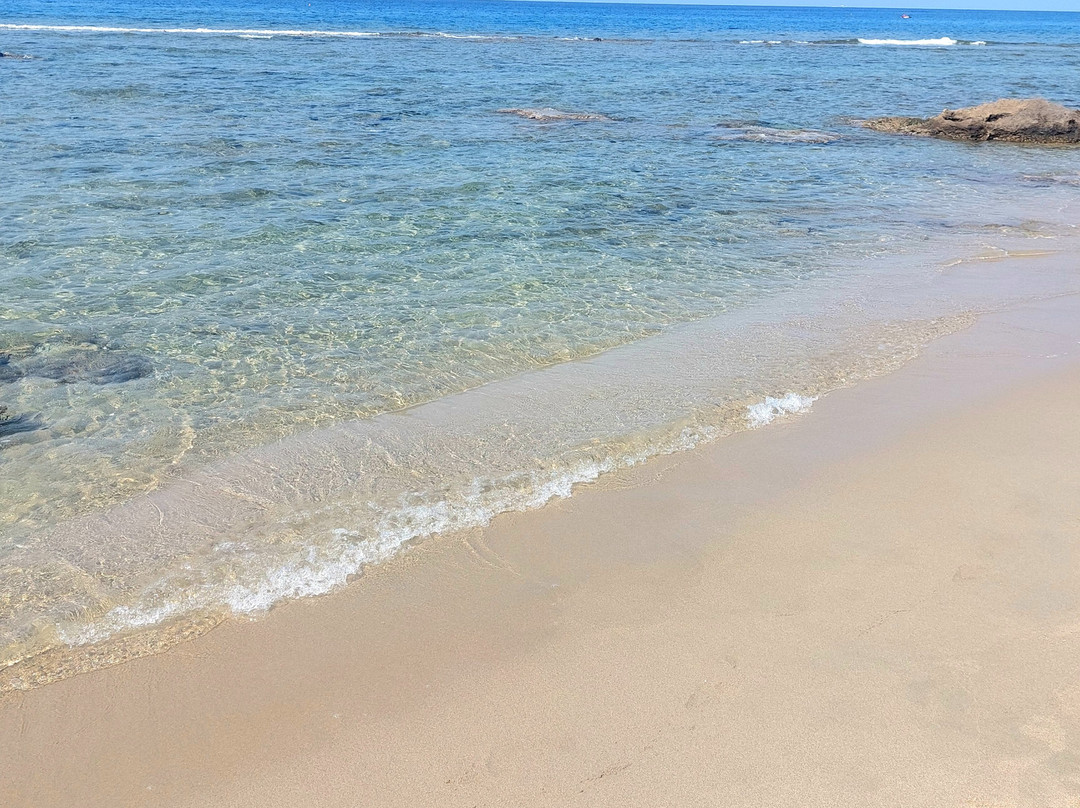 Spiaggia delle Saline景点图片