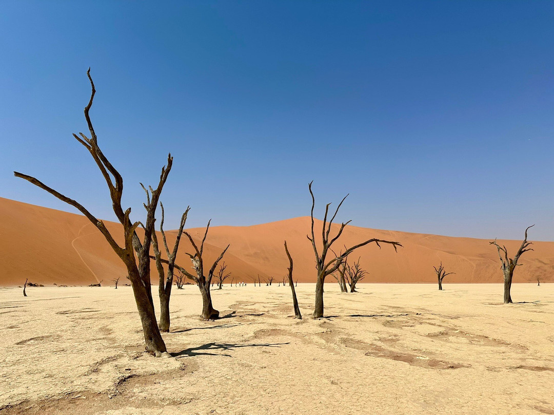 People Tours and Safari cc-苏丝斯黎必去景点