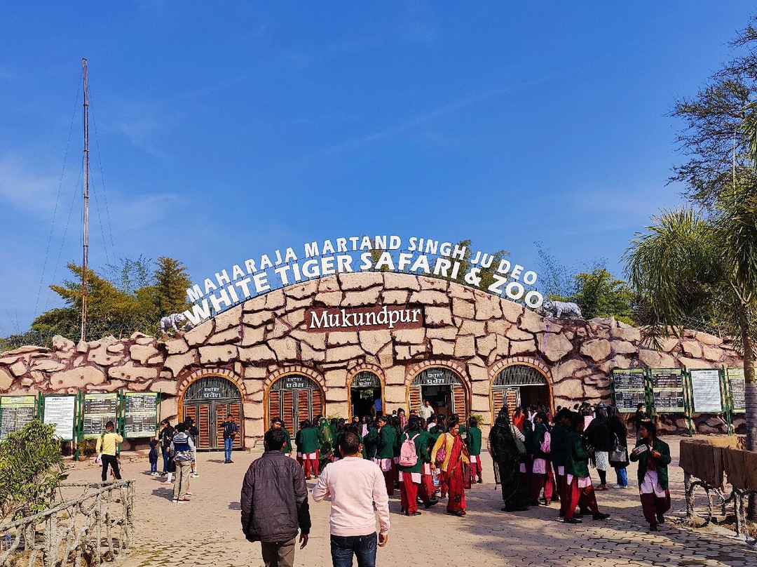 White Tiger Safari Rewa景点图片