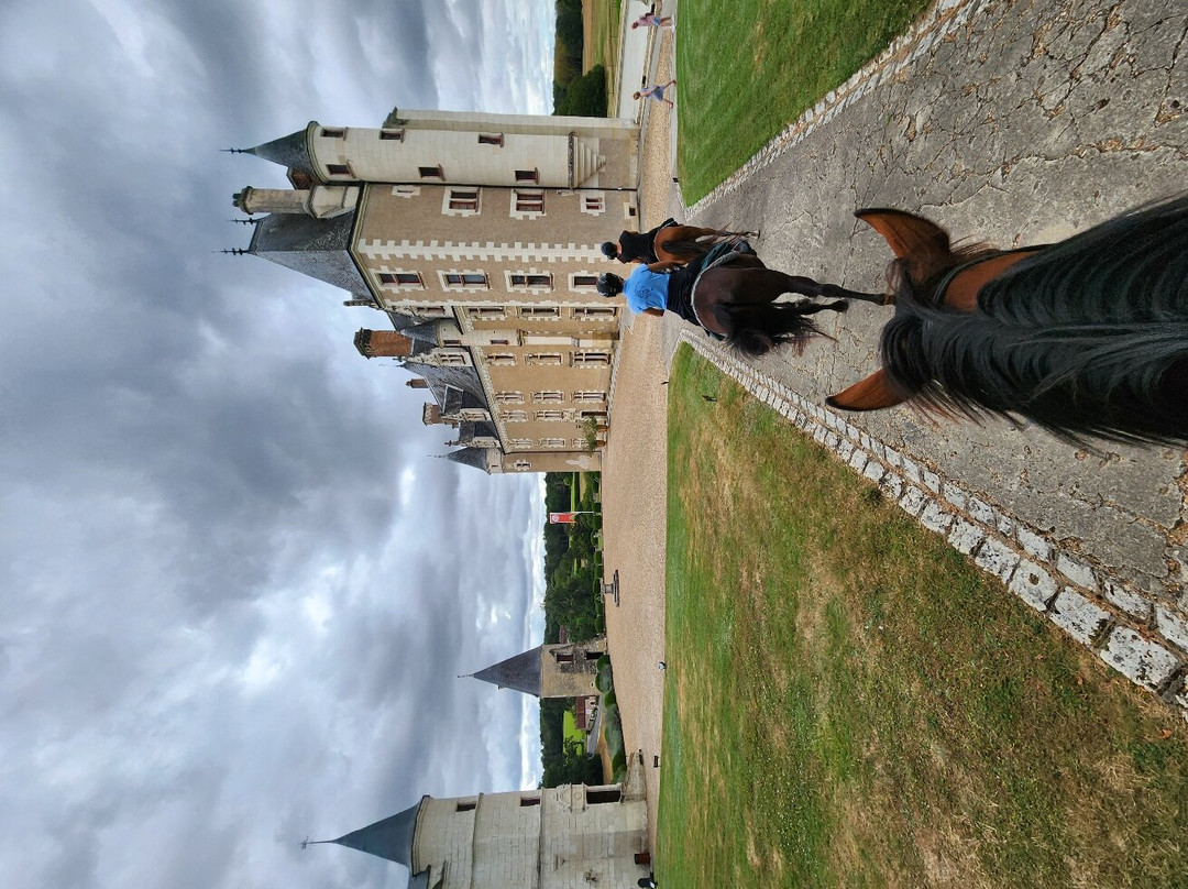 Loire Perspectives-布洛瓦必去景点