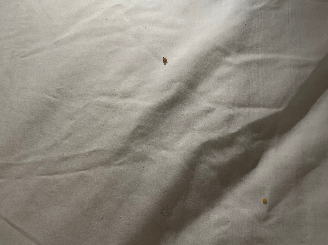 Aviator Hotel & Suites South I-55主图