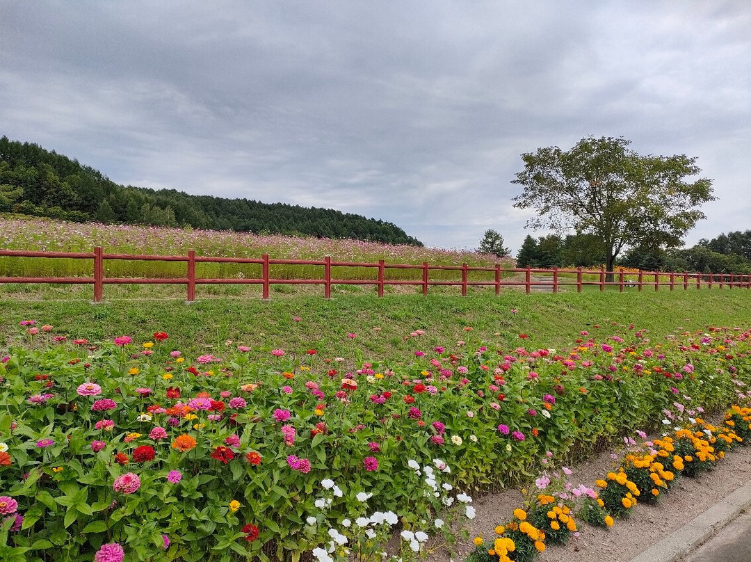 Engaru sun hills park-远轻町必去景点
