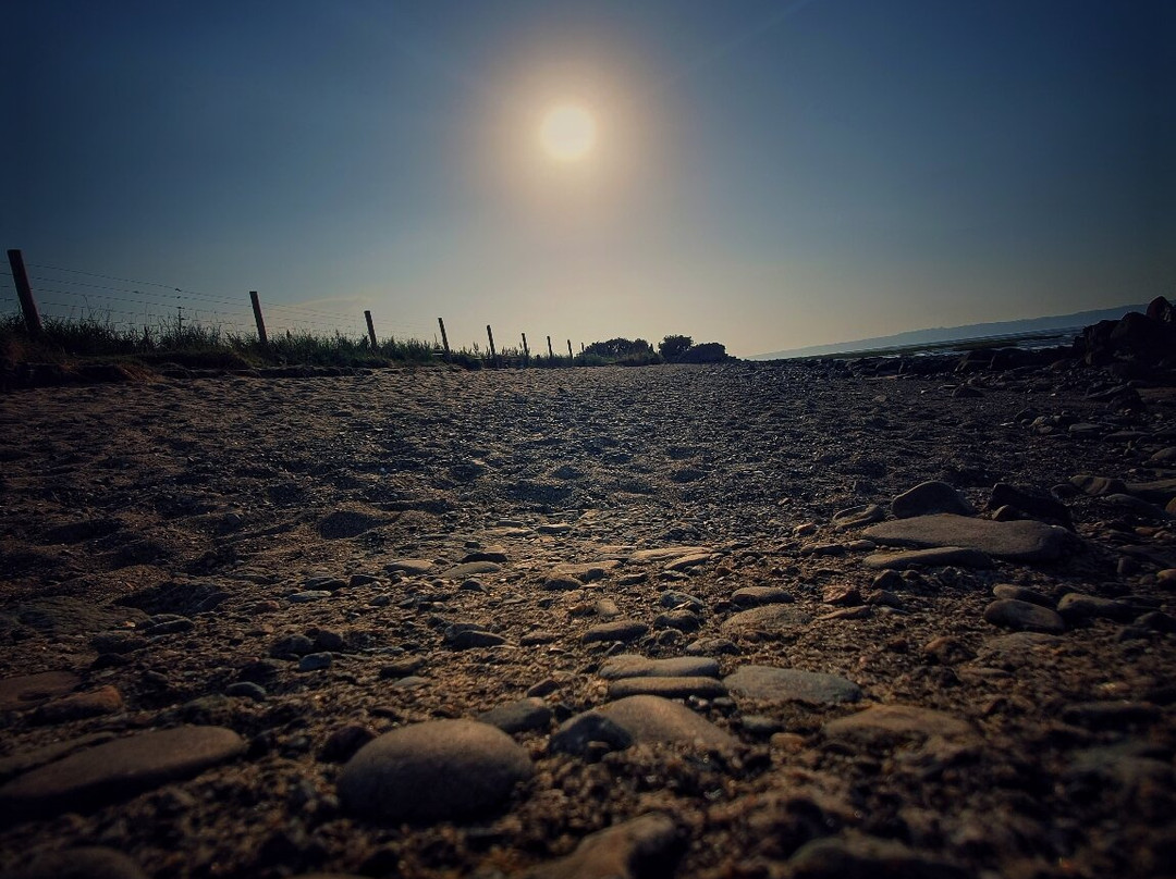 Morfa Aber Nature Reserve景点图片
