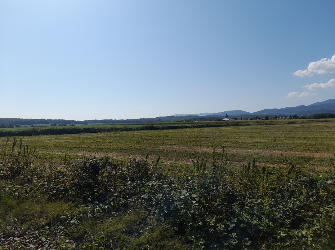 Vélorail Sud Alsace-Aspach-le-Bas必去景点