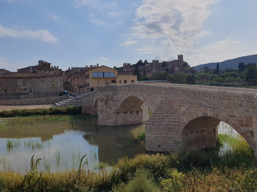 Pont Vell景点图片