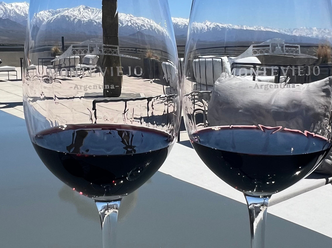 Bodega Monteviejo景点图片