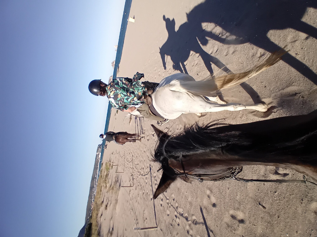 Hipica Mas Paguina-L'Estartit必去景点