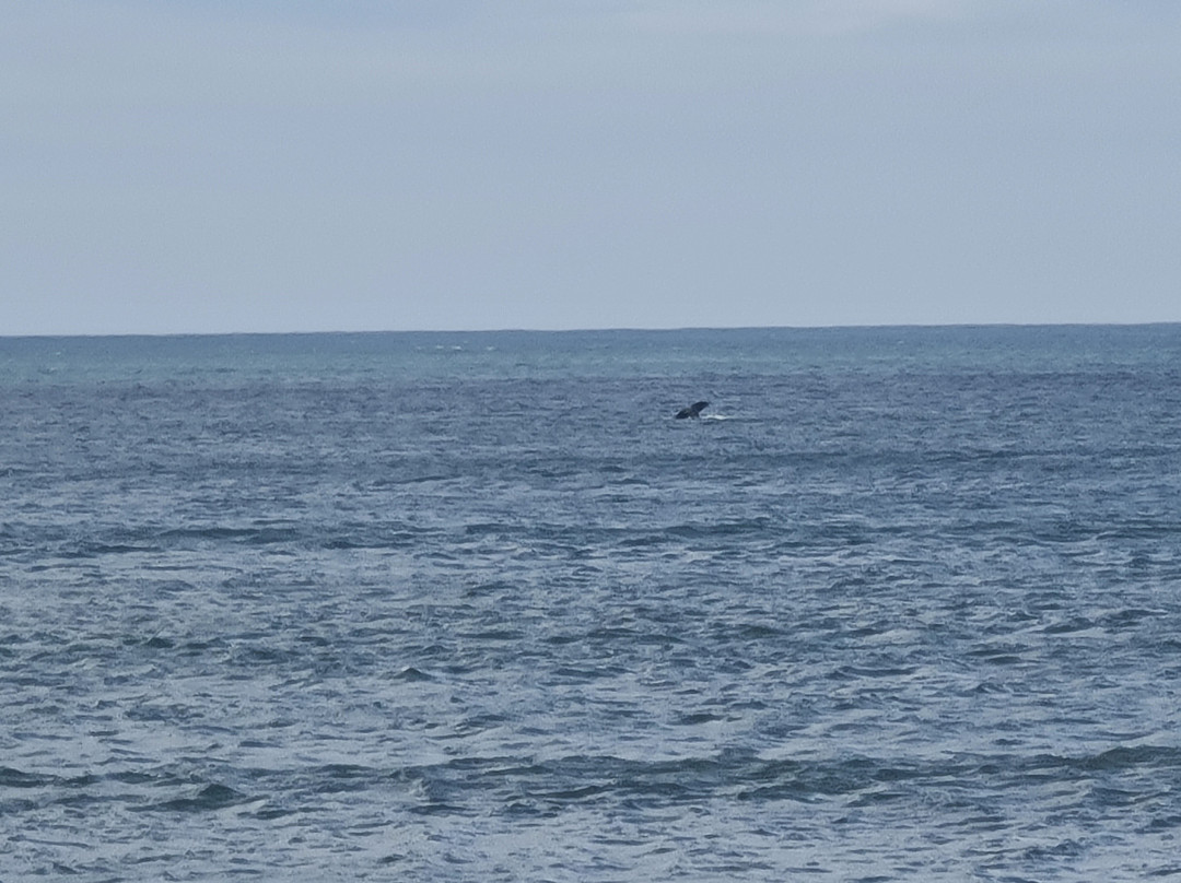 Witsand Beach-Witsand必去景点
