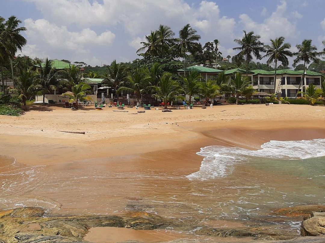 Hotel Palm Rock Beach主图