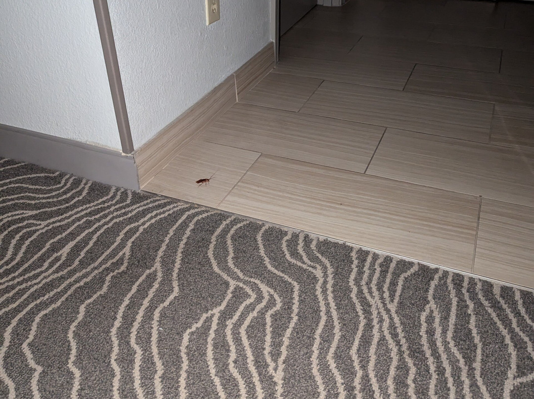 大沙丘默特尔比奇万豪度假村及水疗中心主图