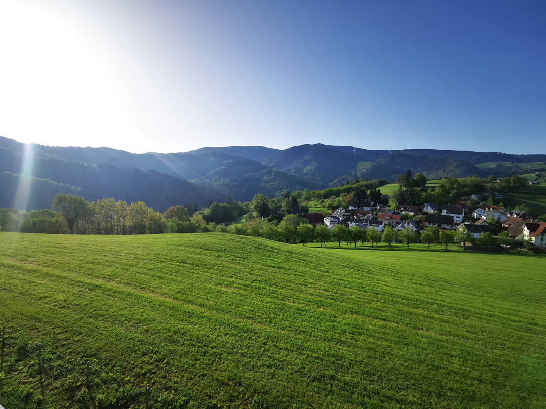 Luisenhöhe - Gesundheitsresort Schwarzwald主图