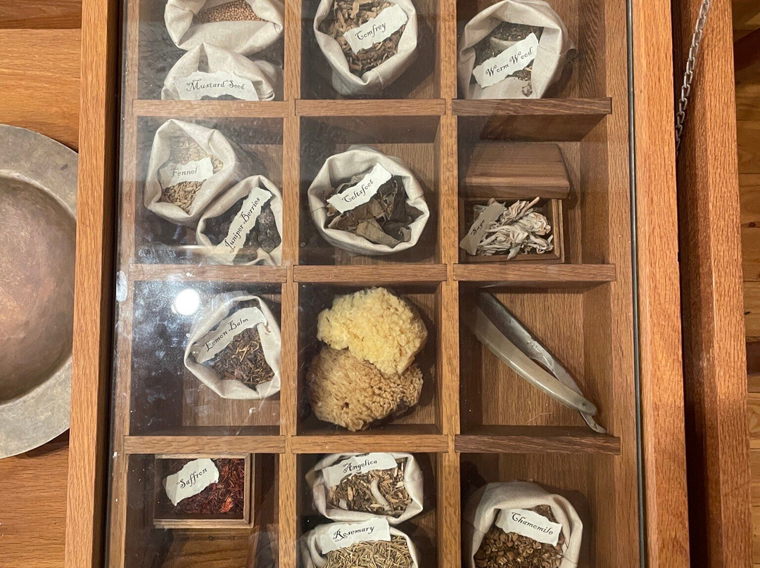 Matthew Legacy-Bonavista必去景点