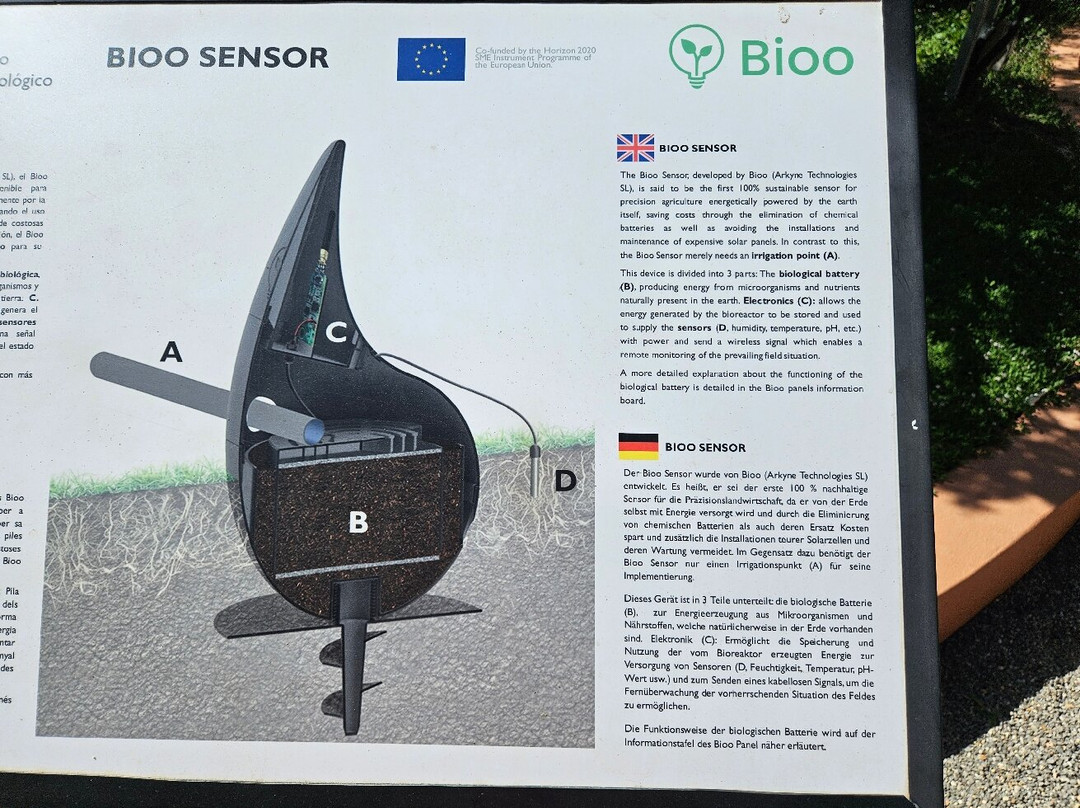 Ibiza Botánico Biotecnológico景点图片