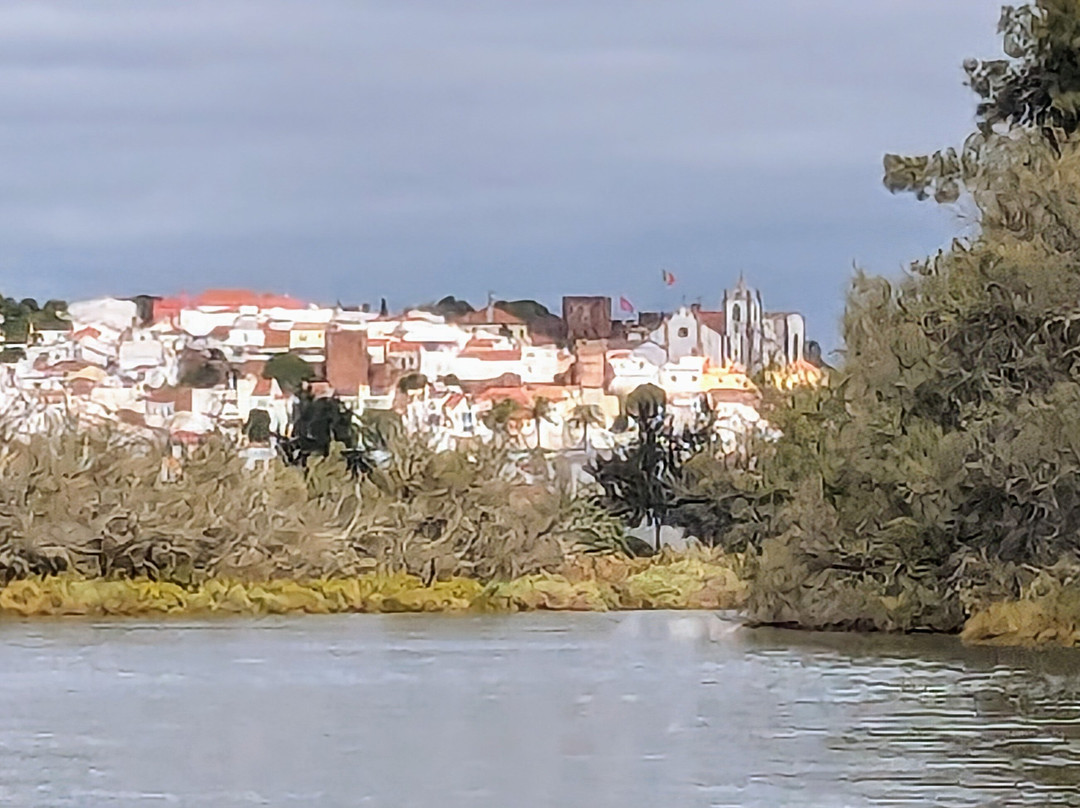 Ferragudo Boat Trips景点图片