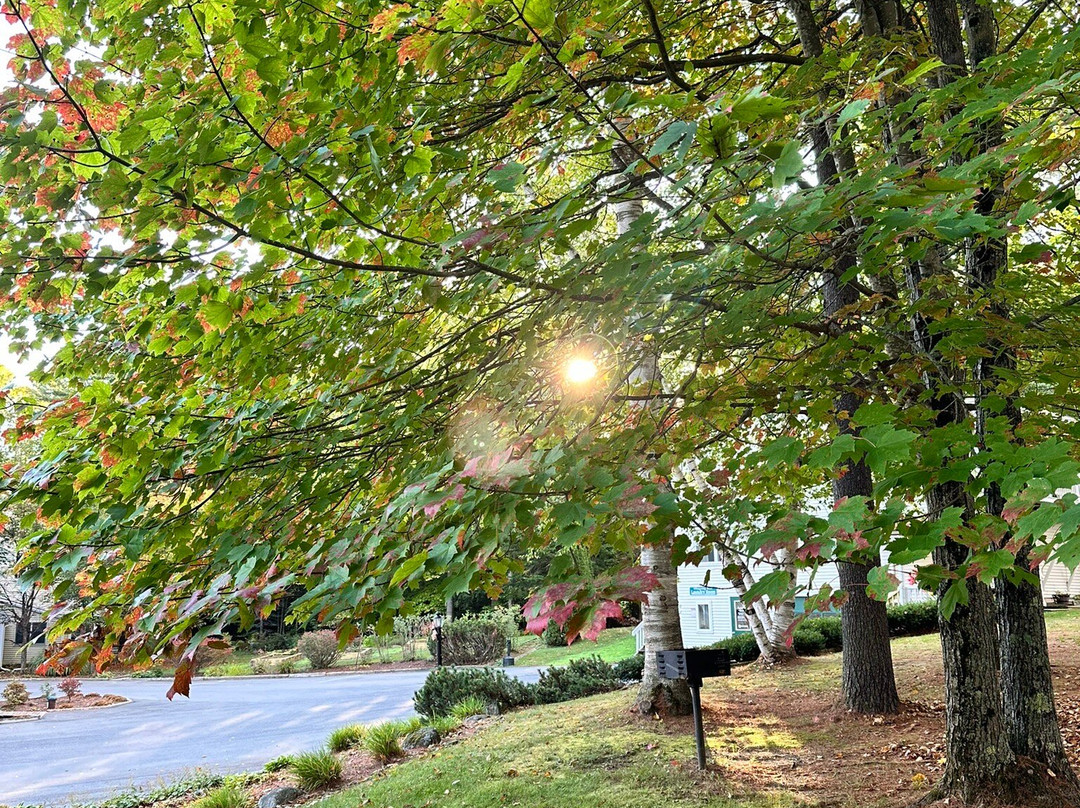 Wilson Lake Inn主图