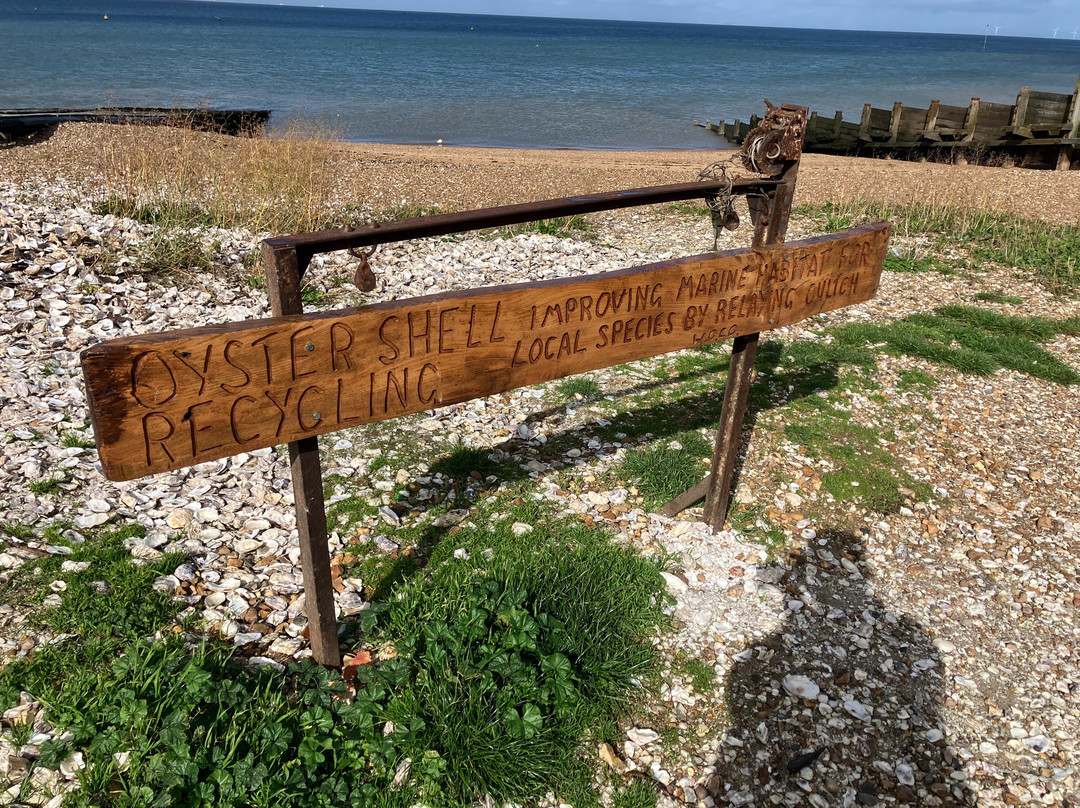 West Beach Whitstable景点图片