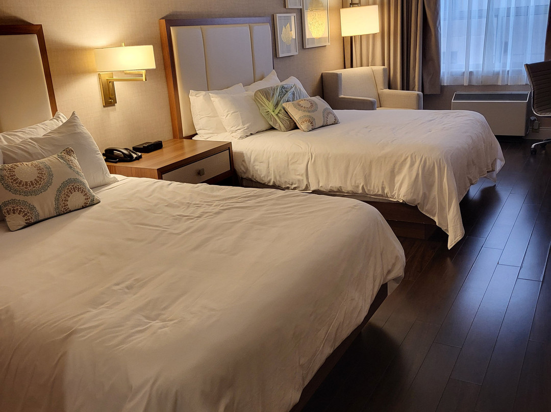 尼尔森勋爵酒店及套房主图