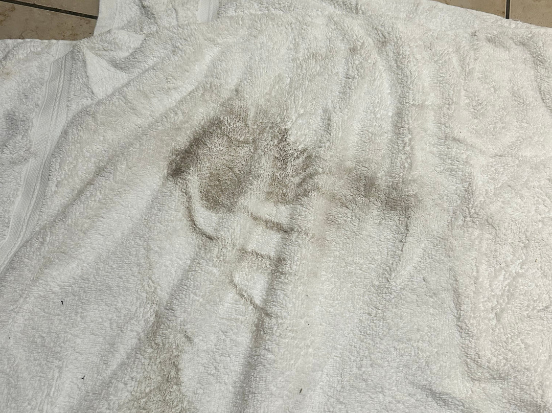 Wingate by Wyndham Ridgeland主图