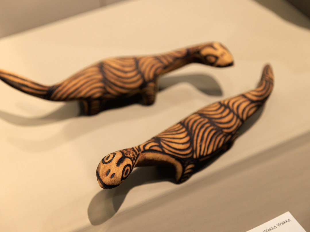 Queensland Museum Cobb+Co景点图片