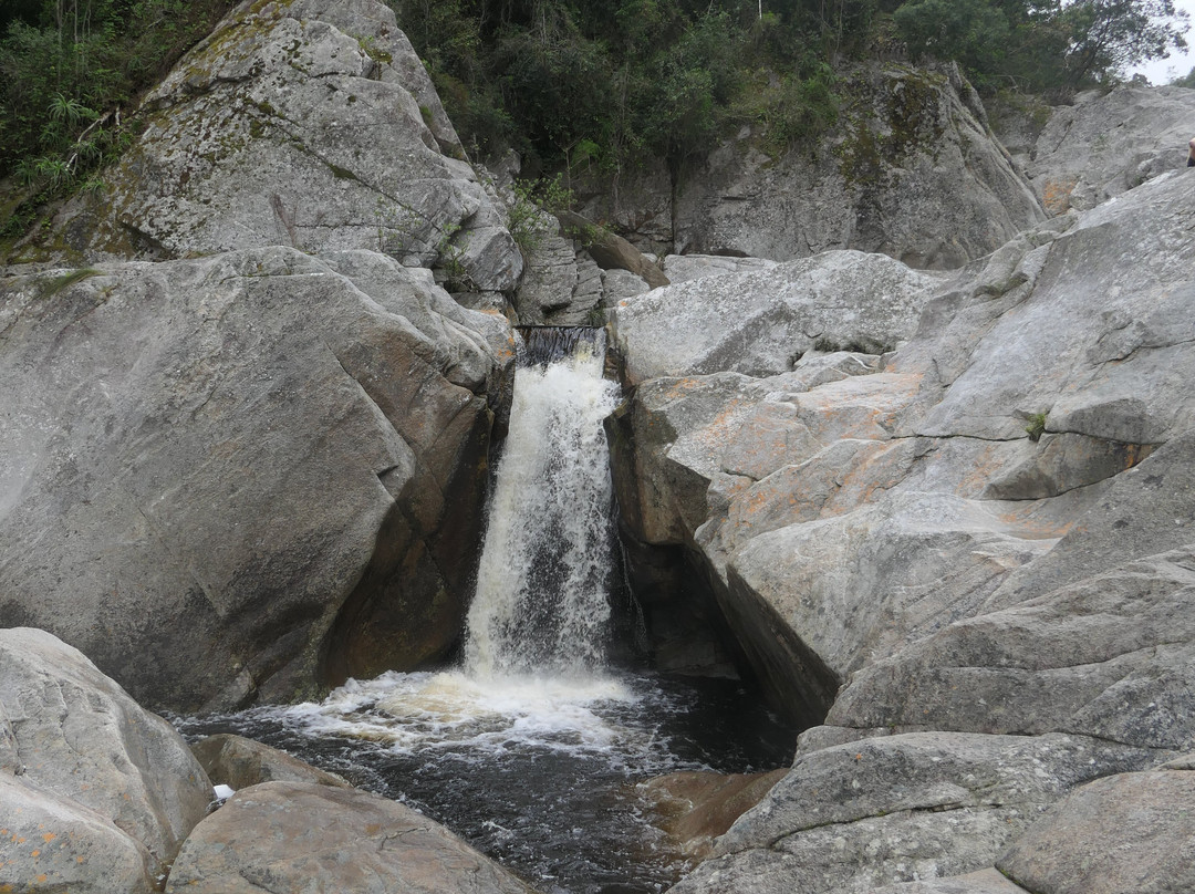 Half Collared Kingfisher Trail-荒野必去景点