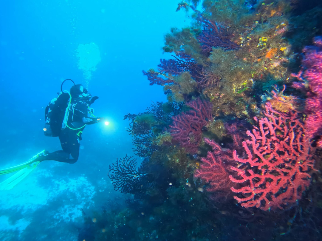 Voglia di Mare Diving Center景点图片