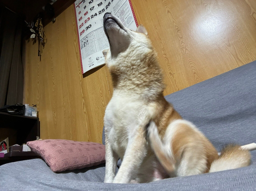 Hijiri Lake-麻绩村必去景点