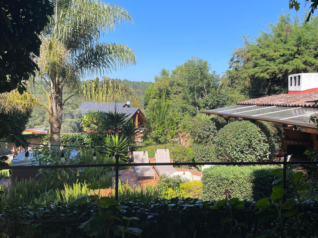 Las Luciérnagas主图