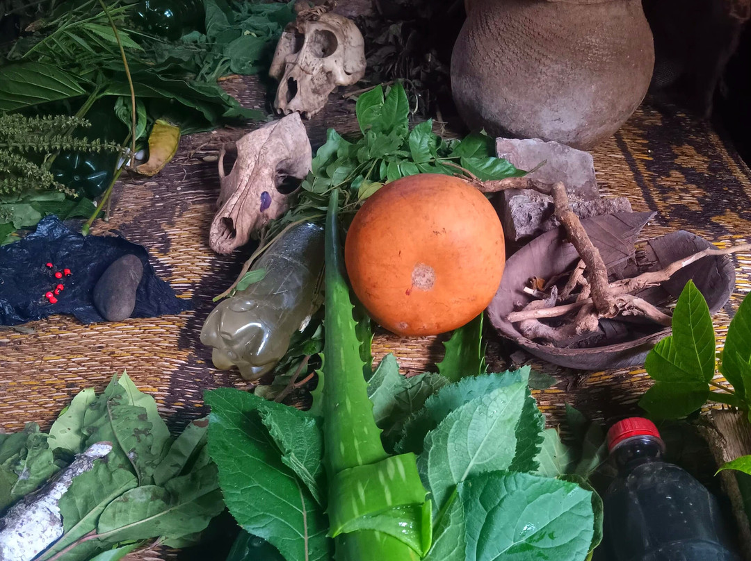 Gorilla Safaris Uganda Travel-坎帕拉必去景点