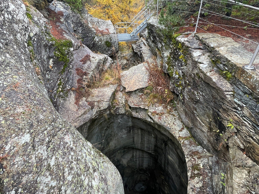 The Cavaglia Glacier Garden景点图片