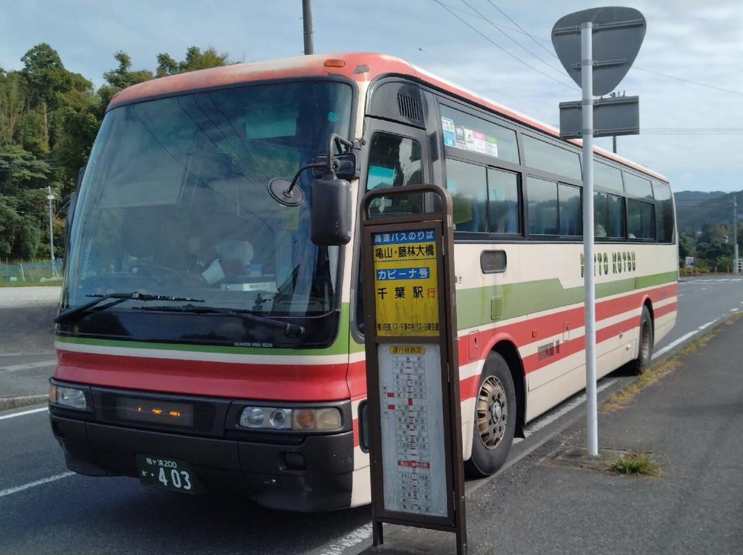 Nitto Kotsu景点图片