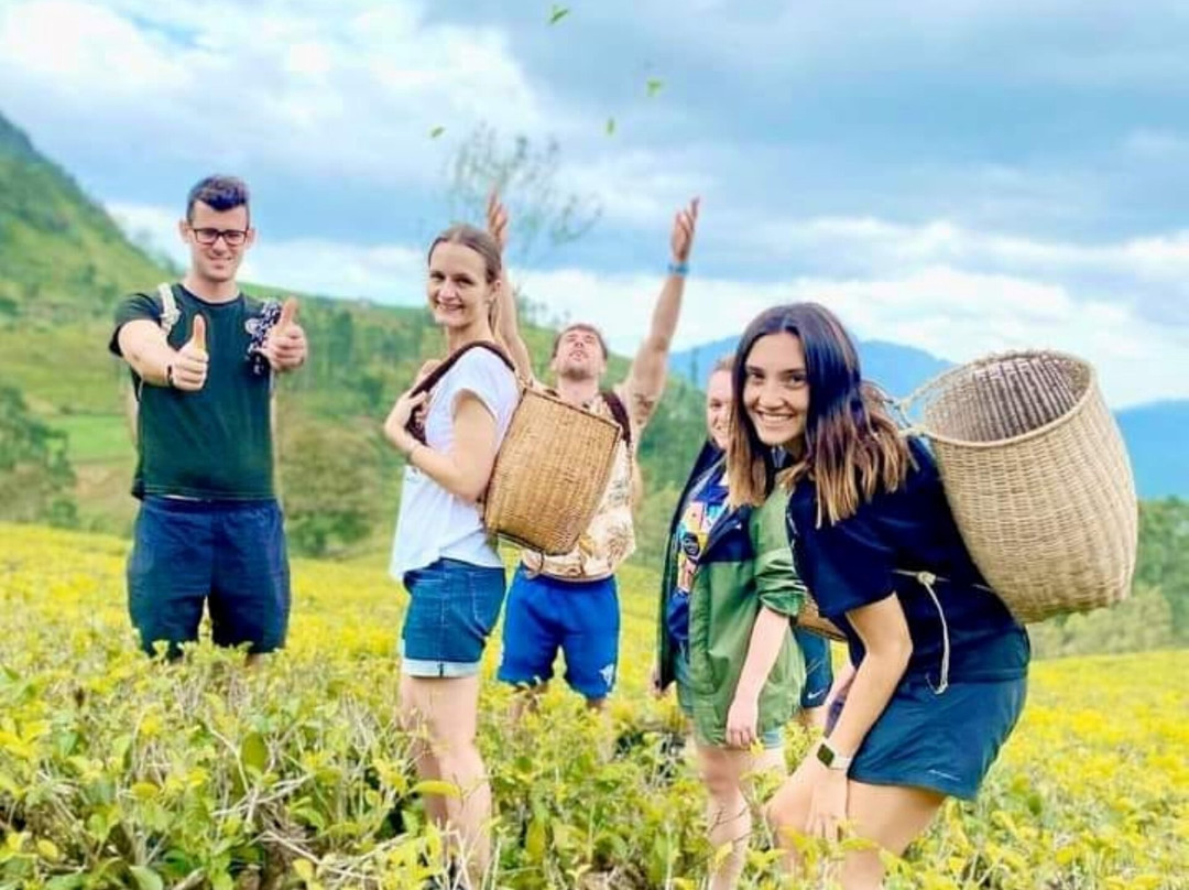 Explore Sri Lanka Tours-拉非尼亚山必去景点