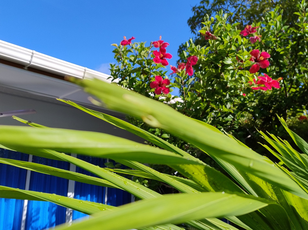 Tides Dhigurah主图