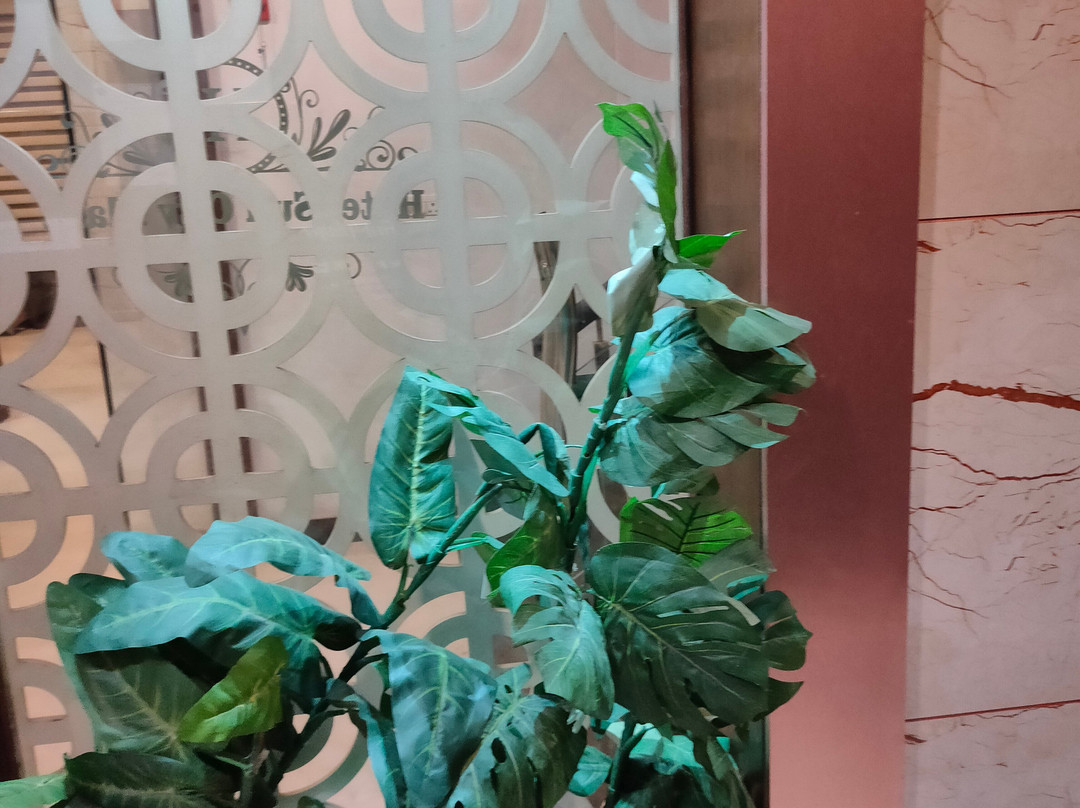 Hotel Sun City Plaza主图