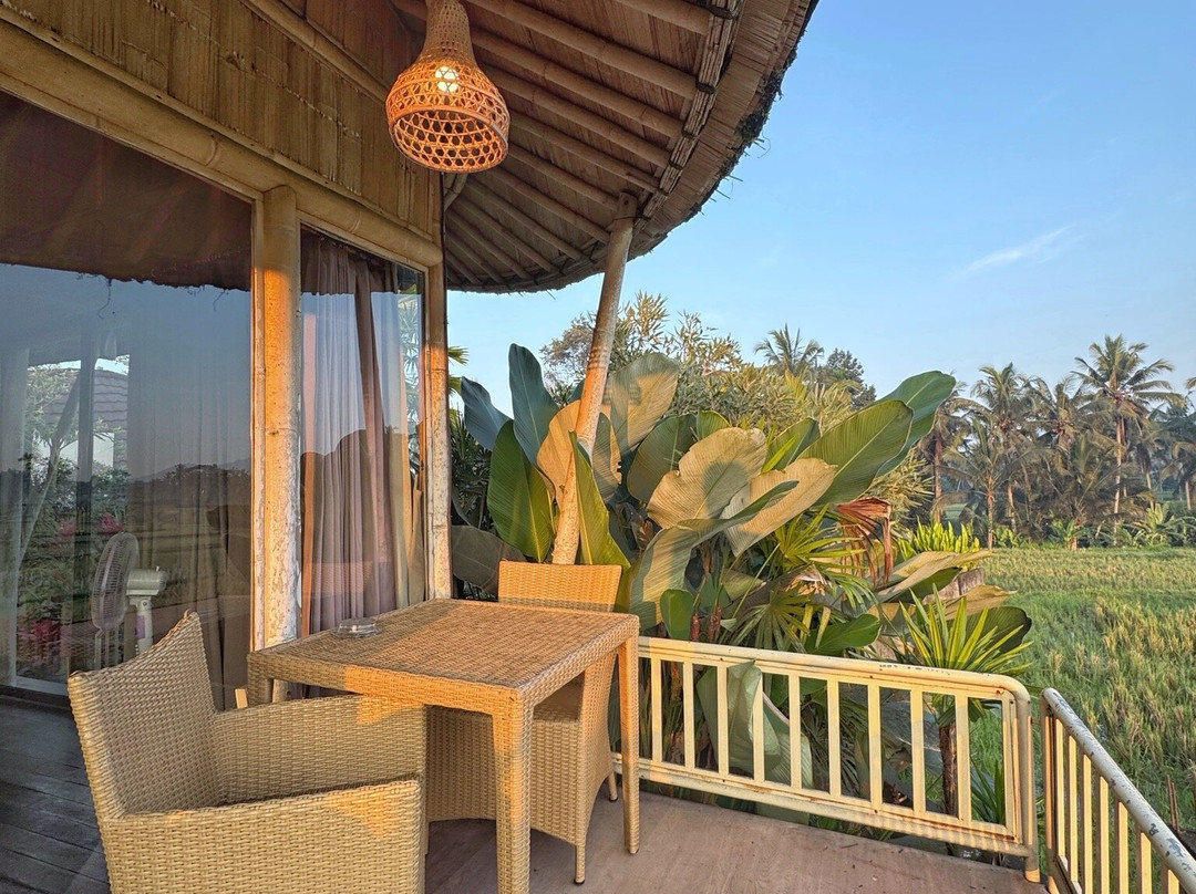 Padi Bali Ubud Eco Retreat主图