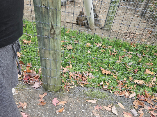 Hovatter's Wildlife Zoo-Kingwood必去景点